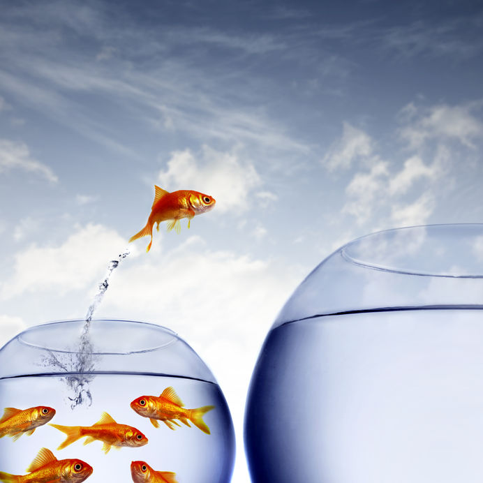 Thumbnail for 7 Easy Business Tips All Business Owners Need to Know