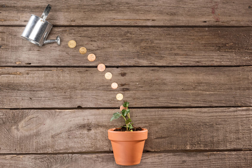 Thumbnail for How to Achieve Sustainable Business Growth